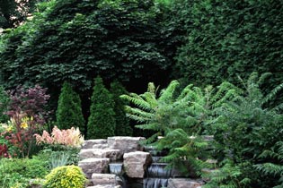 Landscaping with rocks with manicured bushes and trees